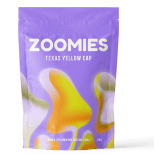 Texas Yellow Cap | Shrooms Near Me Canada