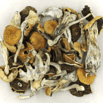 Full Moon Party | Shrooms Near Me Canada