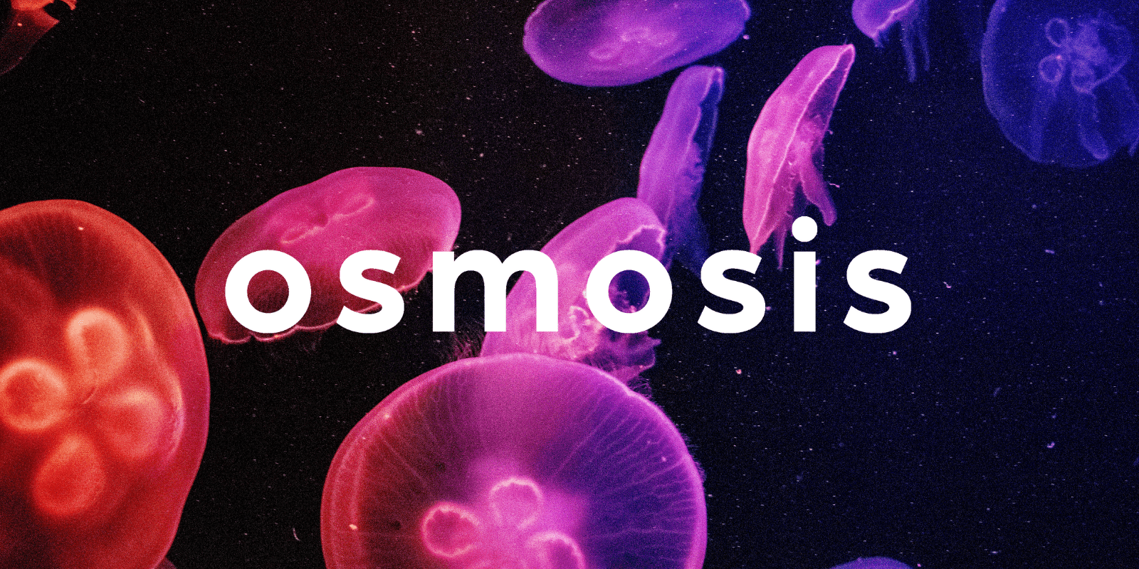 Zoomies osmosis banner | Shrooms Near Me Canada