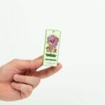 Wonder – Psilocybin Chocolate Bar – Dark Chocolate | Shrooms Near Me Canada