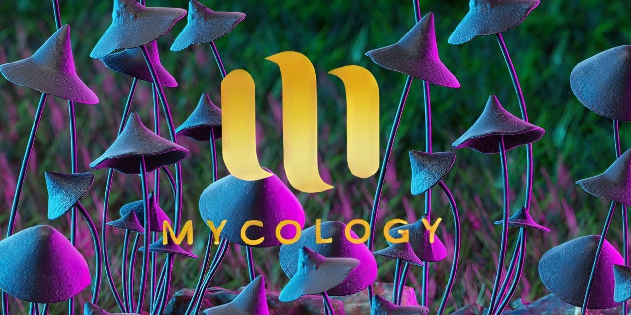 Zoomies Summer 2023 Banner - Mycology | Shrooms Near Me Canada