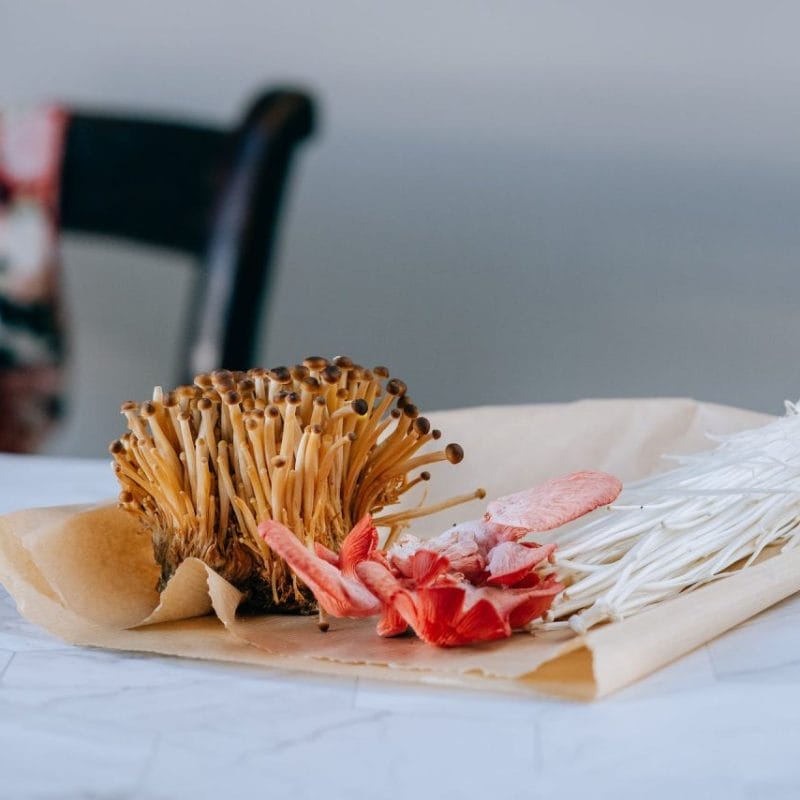 Buy Shrooms Online Canada (1) | Shrooms Near Me Canada