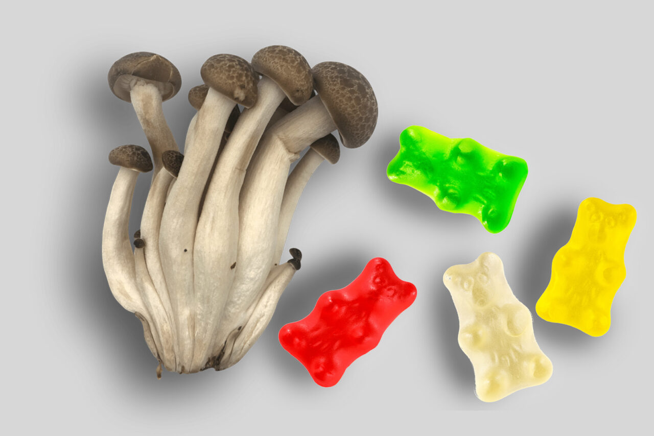 Top LSD edibles in Canada Edibles enhanced with LSD