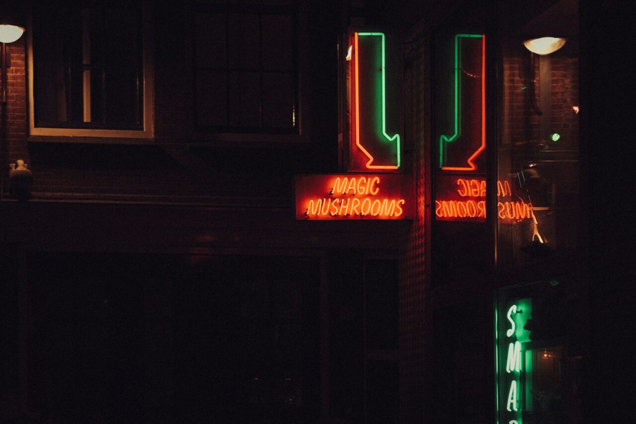 Vancouver’s Mushroom Dispensary – Understanding Canada’s Progress in the US Mushroom Surge?